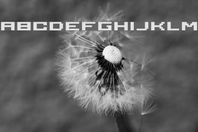 serious4b Font examples