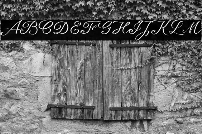 seriousSally_Broad_Trial Font examples