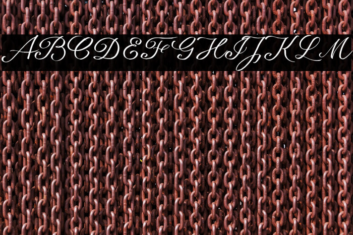 seriousSally_Broad_Trial Example 2