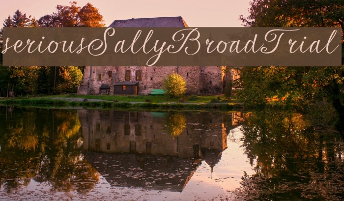 seriousSally_Broad_Trial Example 1