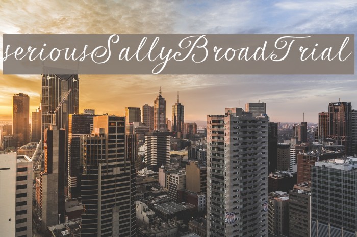 seriousSally_Broad_Trial Example 2