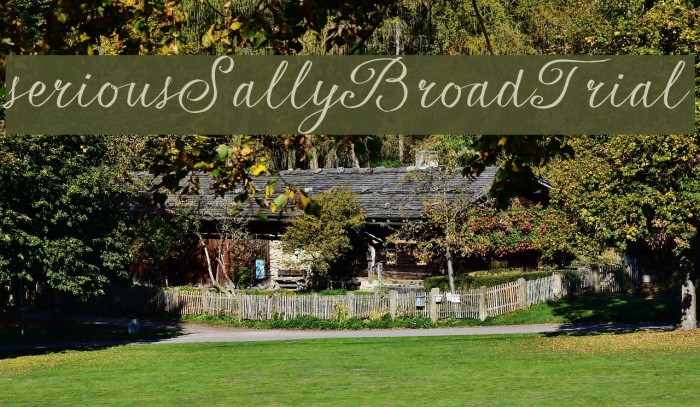 seriousSally_Broad_Trial Example 3