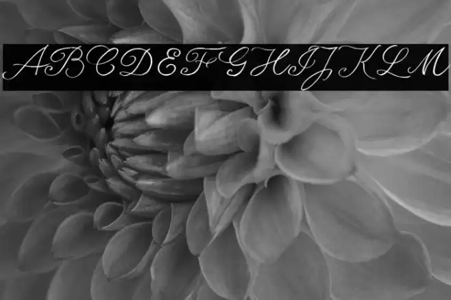 seriousSally_Trial Font examples