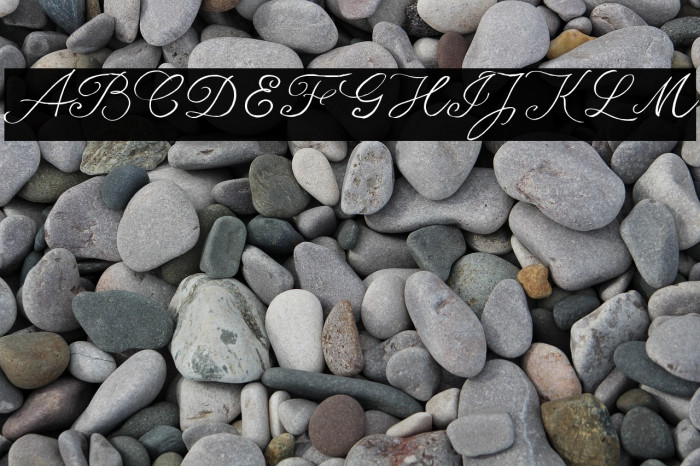 seriousSally_Trial Example 2