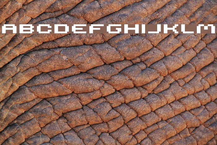 seriousr4b Font examples