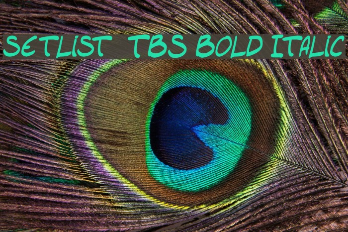 setlist TBS Bold Italic Font examples