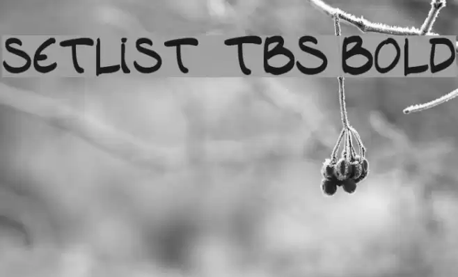 setlist  TBS Bold Font examples