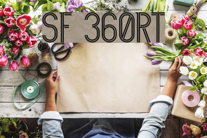 SF 360RT Fuentes examples