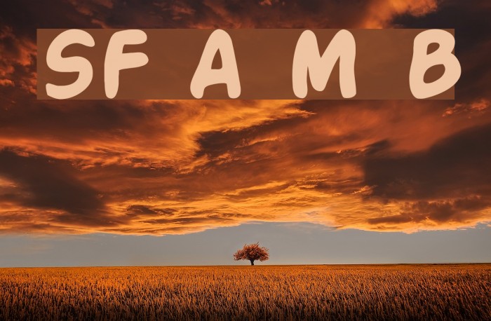 SF Action Man Bold Font examples