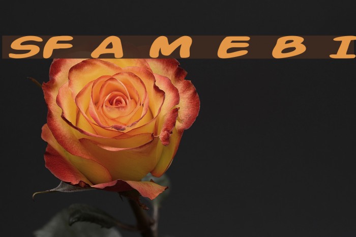 SF Action Man Extended Bold Italic Font examples