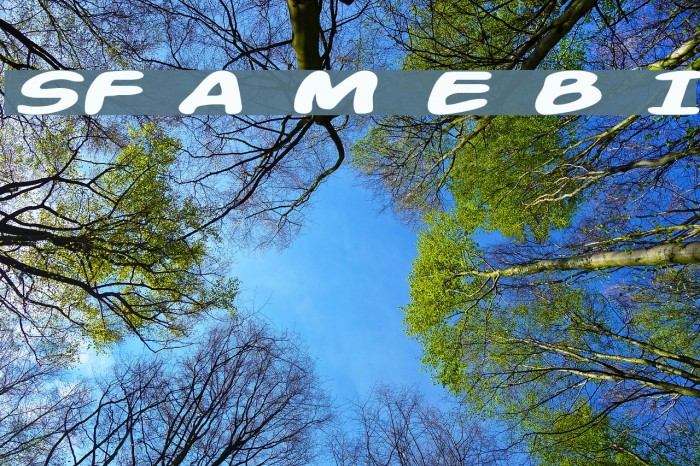 SF Action Man Extended Bold Italic Font examples