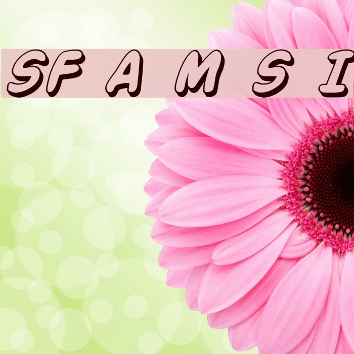 SF Action Man Shaded Italic Font examples