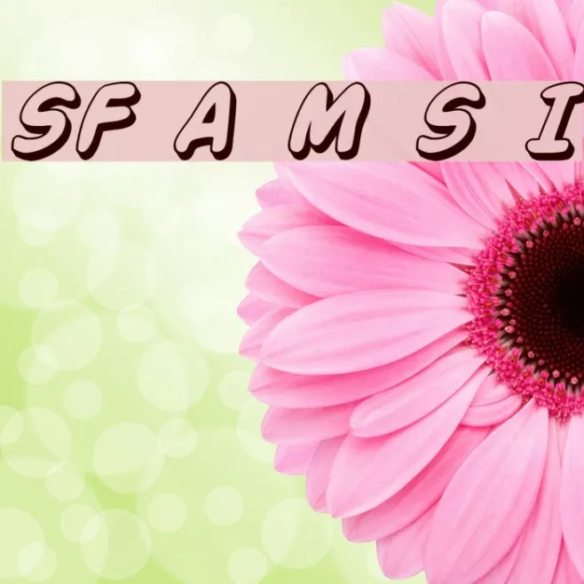 SF Action Man Shaded Italic Example 1