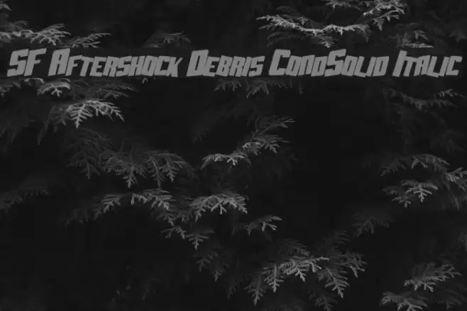 SF Aftershock Debris CondSolid Italic Font examples