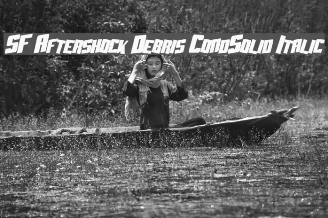 SF Aftershock Debris CondSolid Italic Font examples