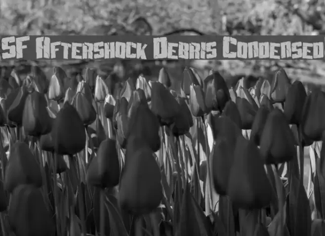 SF Aftershock Debris Condensed Font examples