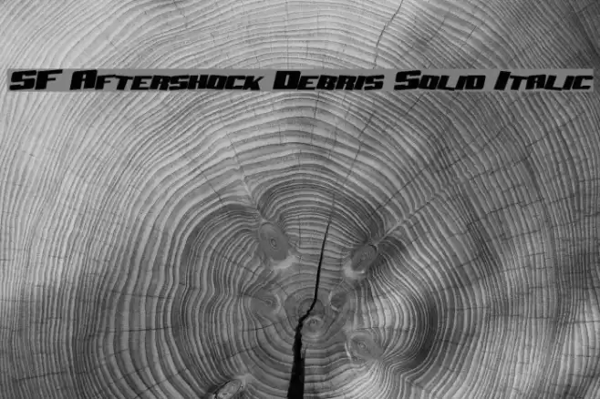 SF Aftershock Debris Solid Italic Font examples