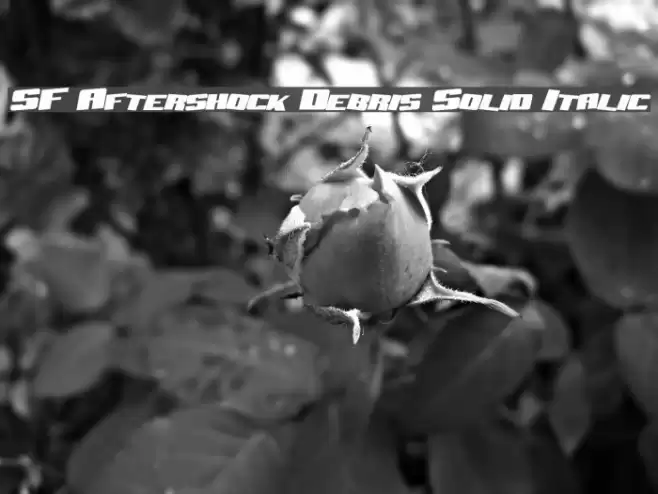 SF Aftershock Debris Solid Italic Font examples