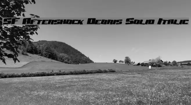 SF Aftershock Debris Solid Italic Font examples