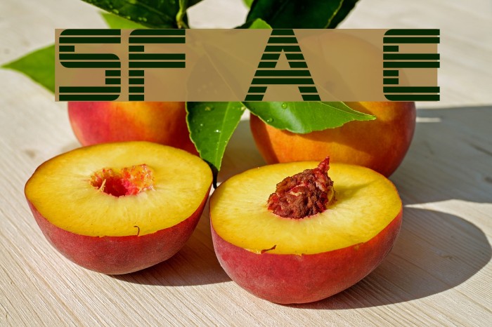 SF Alien Encounters Example 2