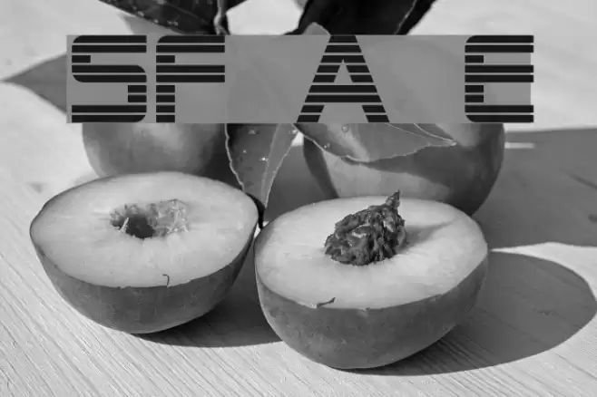 SF Alien Encounters Font examples