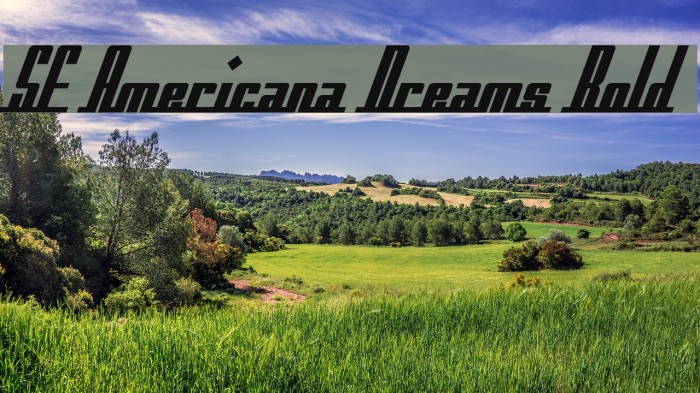 SF Americana Dreams Bold Font examples