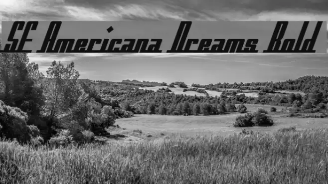 SF Americana Dreams Bold Font examples