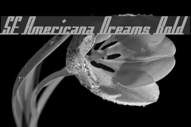 SF Americana Dreams Bold Font examples