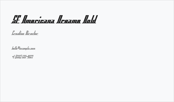 SF Americana Dreams Bold Business Card