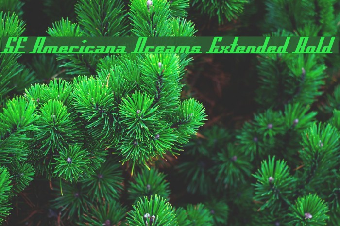 SF Americana Dreams Extended Bold Font examples