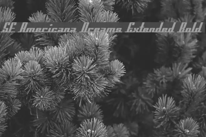 SF Americana Dreams Extended Bold Fuentes examples