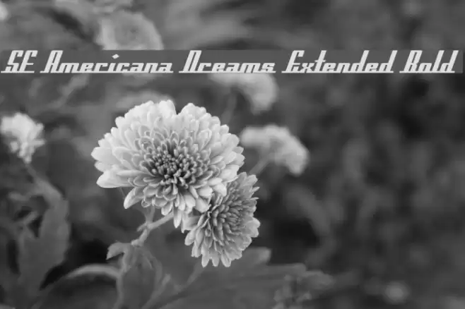 SF Americana Dreams Extended Bold Fuentes examples