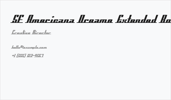 SF Americana Dreams Extended Bold Business Card