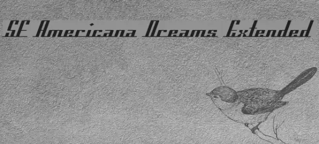 SF Americana Dreams Extended خط examples