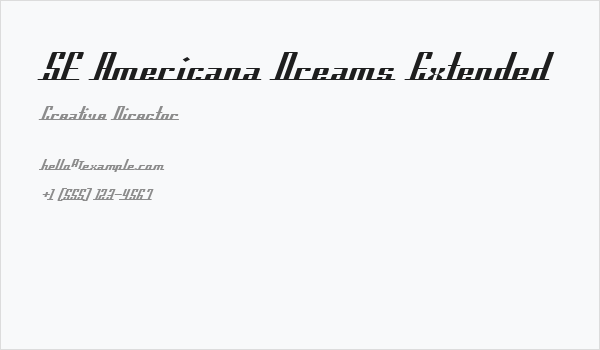 SF Americana Dreams Extended Business Card