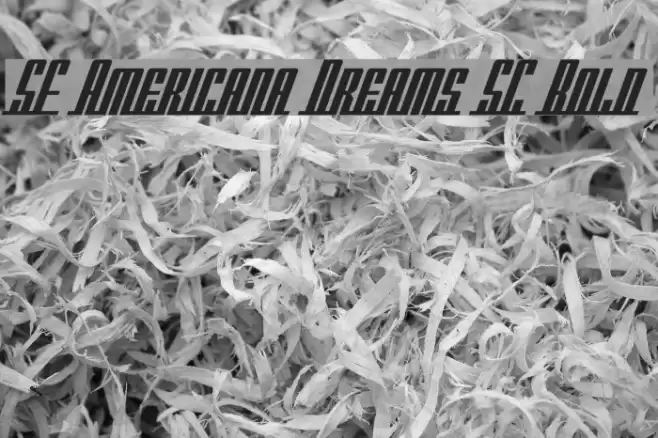 SF Americana Dreams SC Bold Font examples