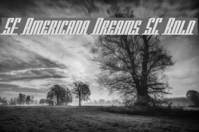 SF Americana Dreams SC Bold Font examples