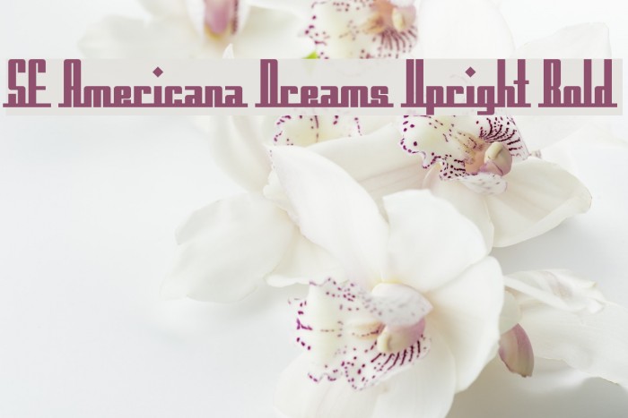 SF Americana Dreams Upright Bold Polices examples