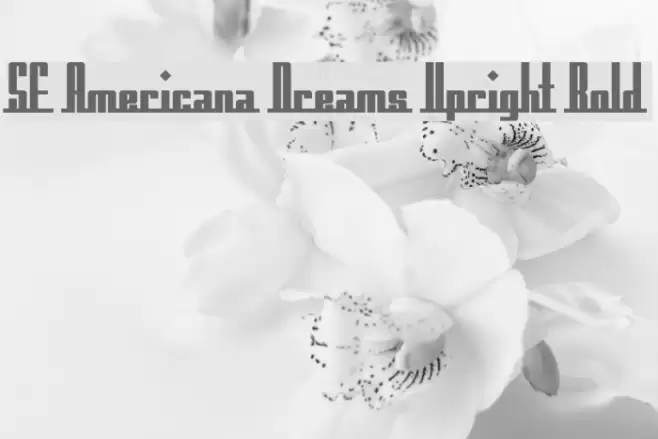 SF Americana Dreams Upright Bold Polices examples