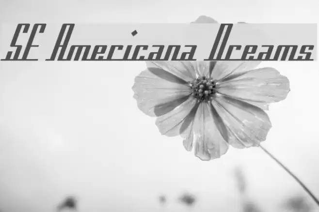 SF Americana Dreams Font examples