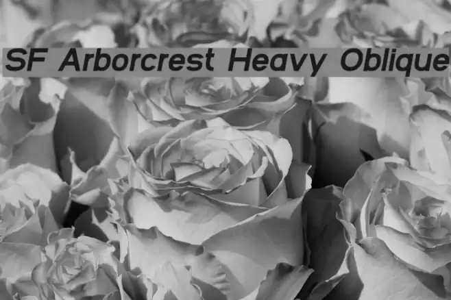 SF Arborcrest Heavy Oblique フォント examples