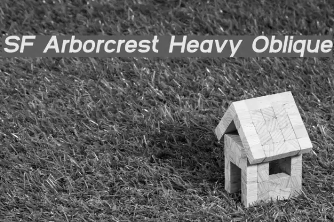 SF Arborcrest Heavy Oblique フォント examples