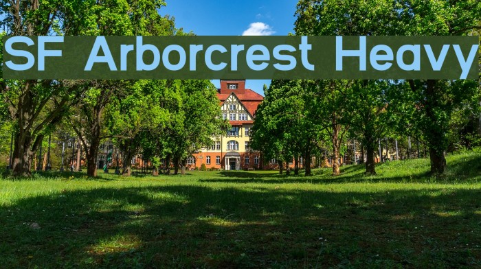 SF Arborcrest Heavy Font examples
