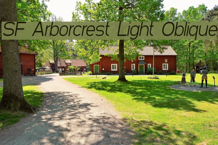 SF Arborcrest Light Oblique Font examples