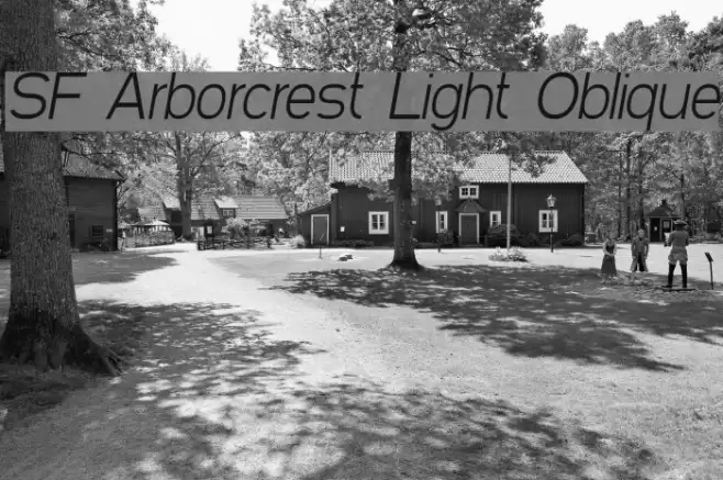 SF Arborcrest Light Oblique Font examples