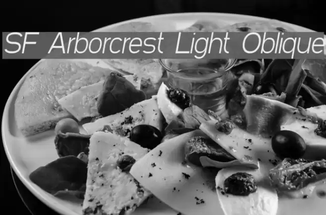 SF Arborcrest Light Oblique Font examples