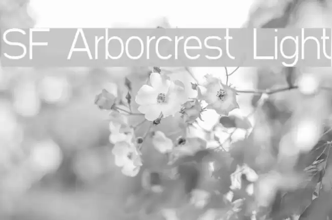 SF Arborcrest Light Font examples