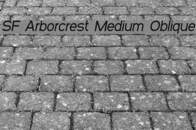 SF Arborcrest Medium Oblique خط examples