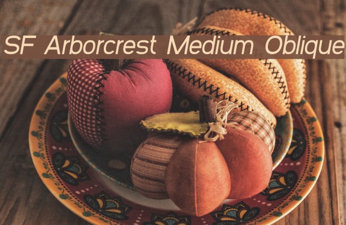 SF Arborcrest Medium Oblique Font examples