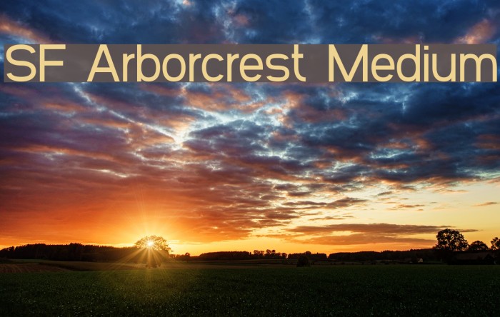 SF Arborcrest Medium Font examples